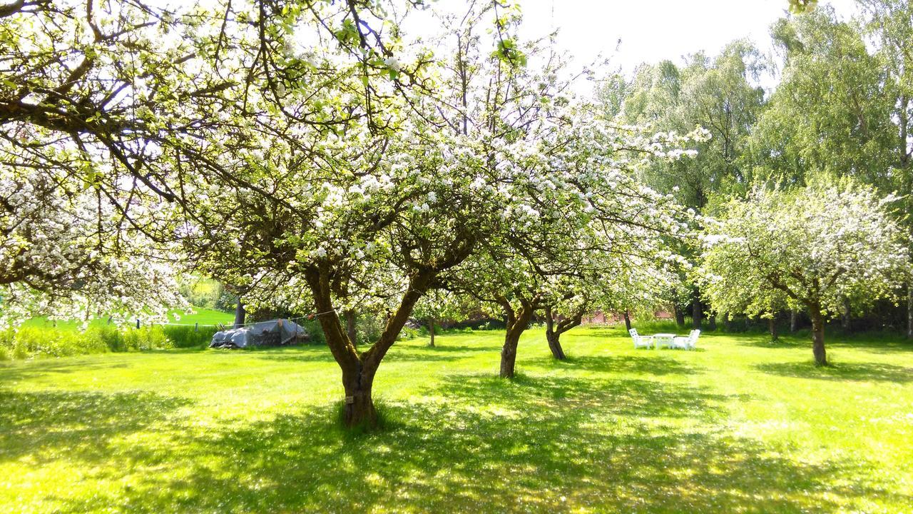 Minnesberg Bed & Breakfast Trelleborg Dış mekan fotoğraf
